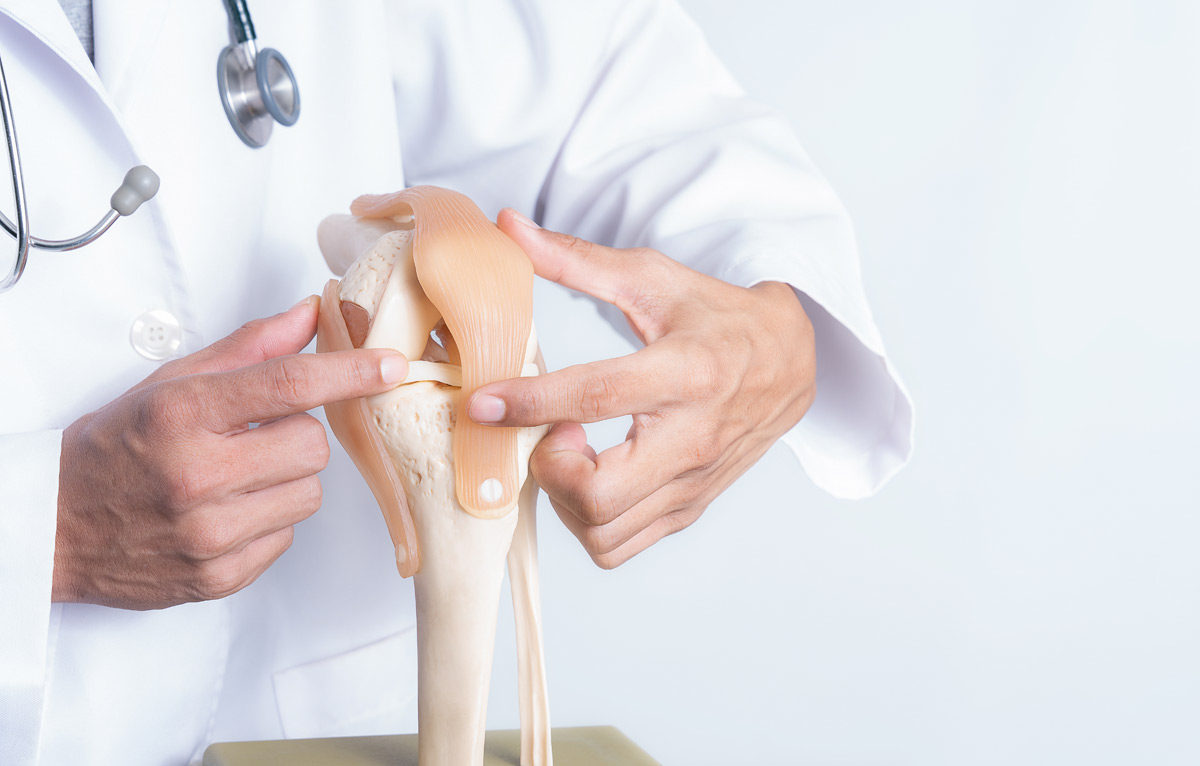 Ihre Orthopäden in Hamburg, Alstertal, Dr. Wagner, Dr. Schneeberger