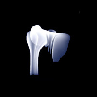 Ihre Orthopäden in Hamburg, Alstertal, Dr. Wagner, Dr. Schneeberger