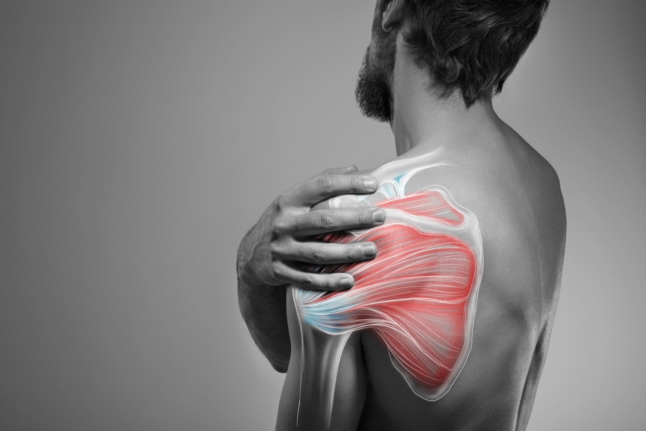 Ihre Orthopäden in Hamburg, Alstertal, Dr. Wagner, Dr. Schneeberger